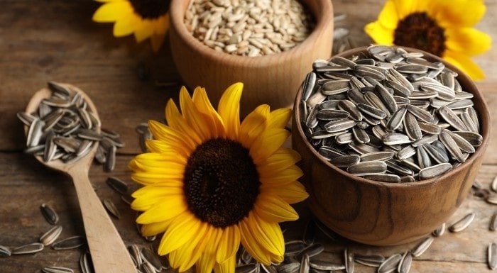 Sonnenblumenkerne: Wie gesund sind sie wirklich?
